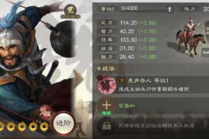 三国志战棋版王双阵容搭配攻略