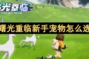 曙光重临新手宠物怎么选[多图]