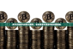 满币交易所与抹茶交易所，在加密货币浪潮中的双面镜鉴