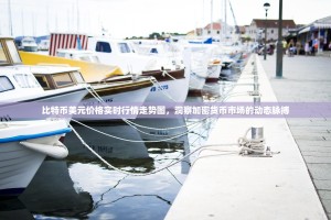 比特币美元价格实时行情走势图，洞察加密货币市场的动态脉搏