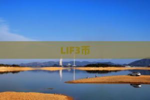 LIF3币