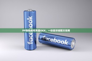 PP钱包如何充值OKX，一份超详细图文指南