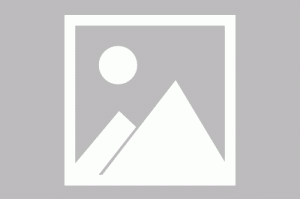 迷你勇士（0.1折口袋妖怪觉醒） 新手礼包