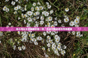 非小号以太坊最新价格一览，今日行情动态与市场解读