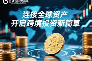 欧易（OKX）加杠杆全攻略，从入门到实操，风险与技巧详解