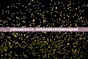 从区链块到以太坊大坊，区块链技术浪潮下的价值高地与未来展望