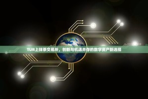 TUR上抹茶交易所，创新与机遇并存的数字资产新选择