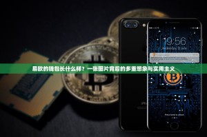 易欧的钱包长什么样？一张图片背后的多重想象与实用主义