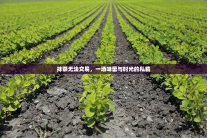 抹茶无法交易，一场味蕾与时光的私藏