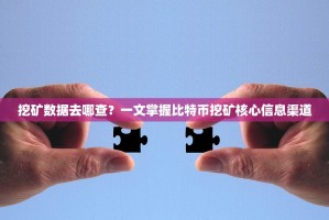 挖矿数据去哪查？一文掌握比特币挖矿核心信息渠道
