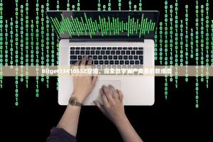 Bitget1341055Z空间，探索数字资产交易的新维度