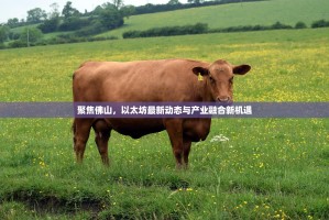 聚焦佛山，以太坊最新动态与产业融合新机遇