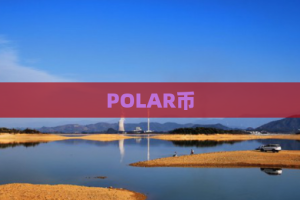 POLAR币