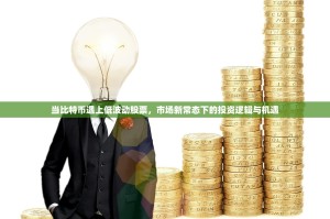 当比特币遇上低波动股票，市场新常态下的投资逻辑与机遇