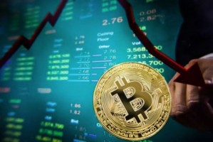 XRP链上交易速度创年度新高，网络活动激增