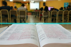 欳艺交易所地址怎么看？详细指南助你快速定位