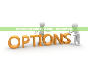 比特币最新行情深度解析，震荡前行，机遇与风险并存