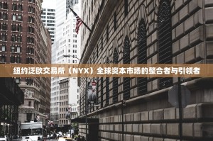 纽约泛欧交易所（NYX）全球资本市场的整合者与引领者