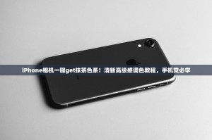 抹茶交易所别名，不止于抹茶，还有这些你不知道的称呼