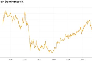 加密市场的资本，只爱「老大哥」了
