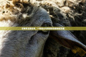 甘南羊王欧拉羊，一场舌尖与草原的深度体验交易