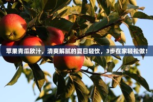 探秘ouyi内测版苹果，一场关于科技与想象的边缘实验