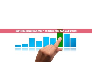 欧亿钱包删除后能否找回？全面解析找回方法与注意事项