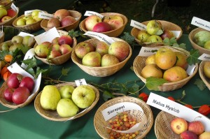 欧易OKX如何安全划转资产至合约账户？详细教程在此！