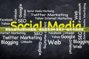 郑黎比特币行情分析最新，在震荡市场中寻找下一轮牛市的引擎