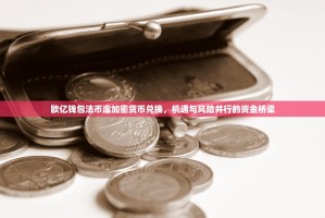 欧亿钱包法币虚加密货币兑换，机遇与风险并行的资金桥梁