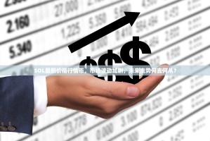 SOL最新价格行情币，市场波动加剧，未来走势何去何从？