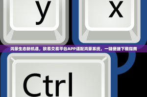 鸿蒙生态新机遇，欧易交易平台APP适配鸿蒙系统，一键便捷下载指南
