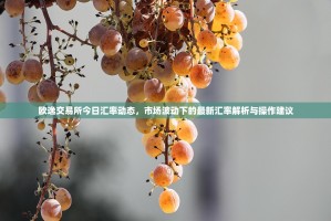 欧逸交易所今日汇率动态，市场波动下的最新汇率解析与操作建议