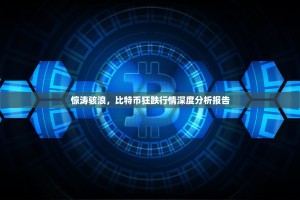 惊涛骇浪，比特币狂跌行情深度分析报告