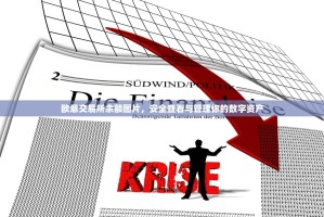 欧意交易所余额图片，安全查看与管理你的数字资产