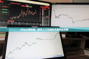 Bitget虚拟盘，新手入门与进阶交易的全攻略