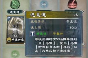 英雄立志传三国志雷电法王武魂怎么带
