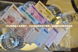 OKX钱包转入交易账户，三步完成数字资产转移，助您轻松把握市场先机