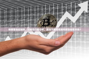 特朗普效应加持，比特币行情分析，政治不确定性如何搅动加密市场？