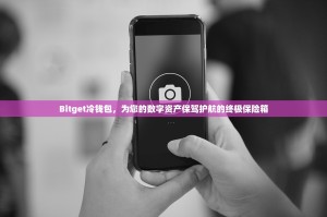Bitget冷钱包，为您的数字资产保驾护航的终极保险箱